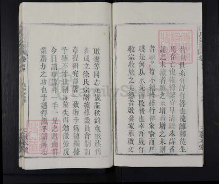 湖北省黄冈市麻城市徐氏敦本堂族谱-徐氏宗谱.pdf电子版预览图4