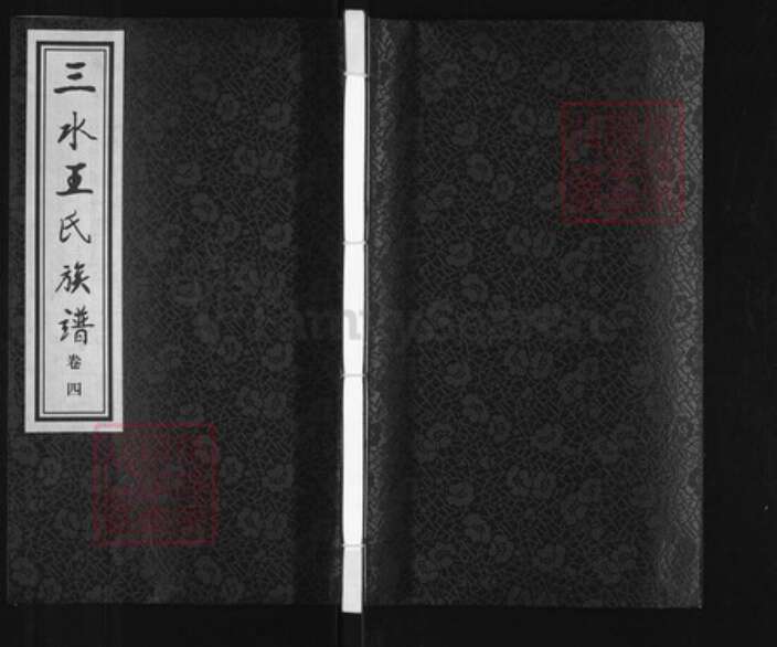 江苏省泰州市兴化市安丰镇王氏乐学堂族谱-三水王氏族谱.pdf电子版缩略图