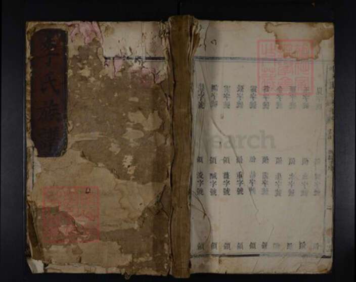 湖南省娄底市涟源市涟源李氏陇西堂族谱-李氏族谱.pdf电子版缩略图