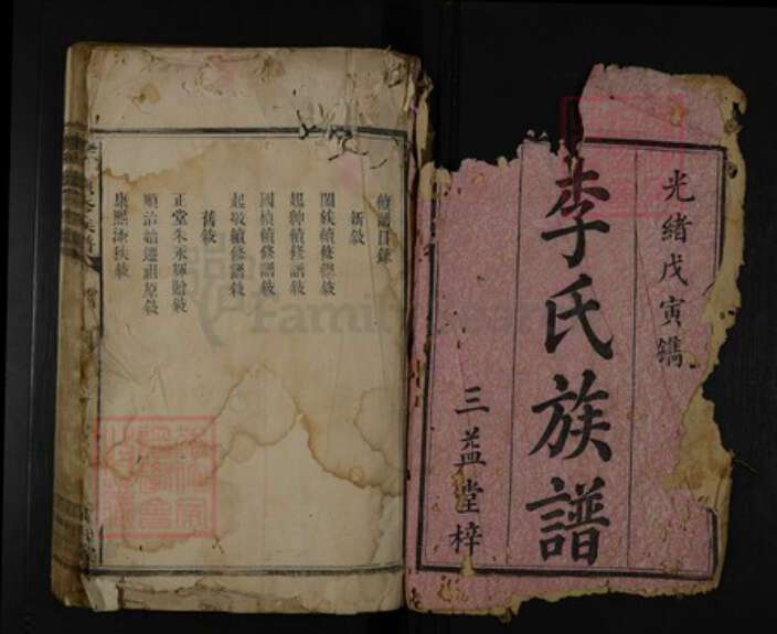 湖南省娄底市涟源市涟源李氏陇西堂族谱-李氏族谱.pdf电子版预览图1