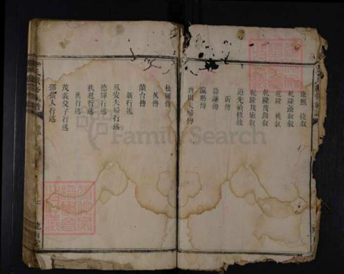 湖南省娄底市涟源市涟源李氏陇西堂族谱-李氏族谱.pdf电子版预览图2