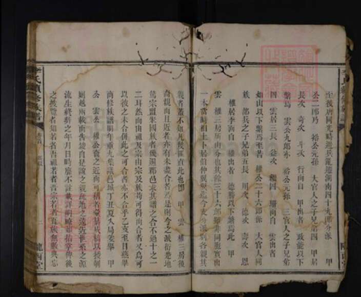 湖南省娄底市涟源市涟源李氏陇西堂族谱-李氏族谱.pdf电子版预览图5