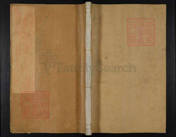 浙江省丽水市遂昌县叶氏族谱-汤溪叶氏宗谱.pdf电子版缩略图