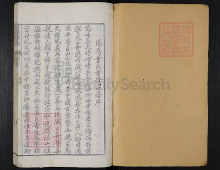 浙江省丽水市遂昌县叶氏族谱-汤溪叶氏宗谱.pdf电子版预览图1