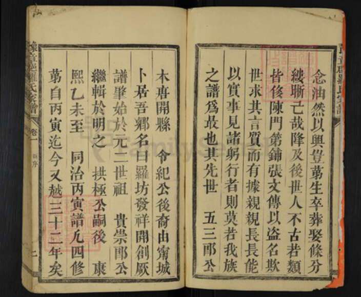 江西省新余市渝水区罗坊镇罗氏族谱-豫章郡罗氏家谱.pdf电子版预览图2