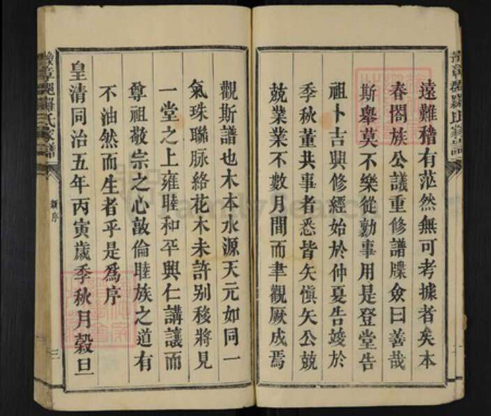 福建省三明市宁化县安乐镇罗氏继槐堂族谱-豫章郡罗氏家谱.pdf电子版预览图3