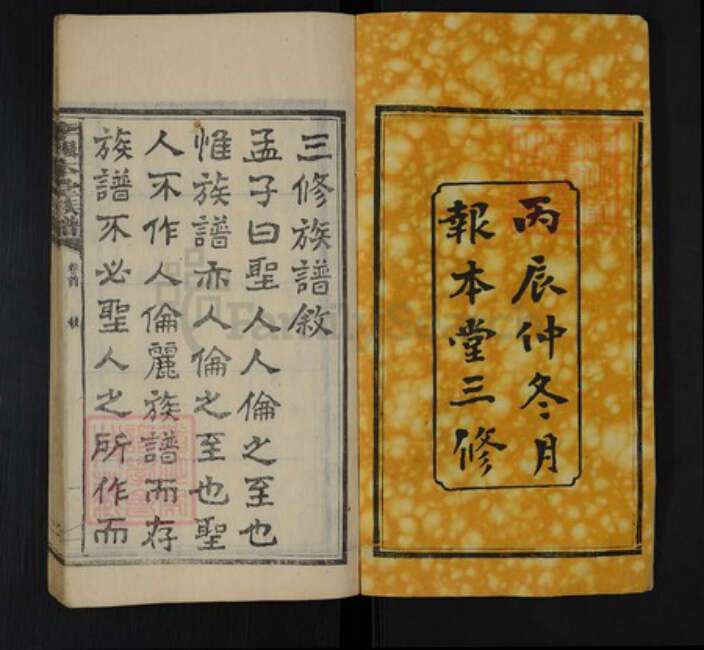 湖南省湘潭市湘乡市山枣镇李氏报本堂族谱-李报本堂族谱.pdf电子版预览图2