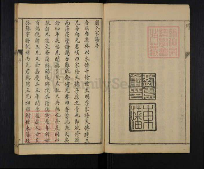 河南省安阳市林州市五龙镇刘氏族谱-林虑刘氏族谱世系.pdf电子版预览图3