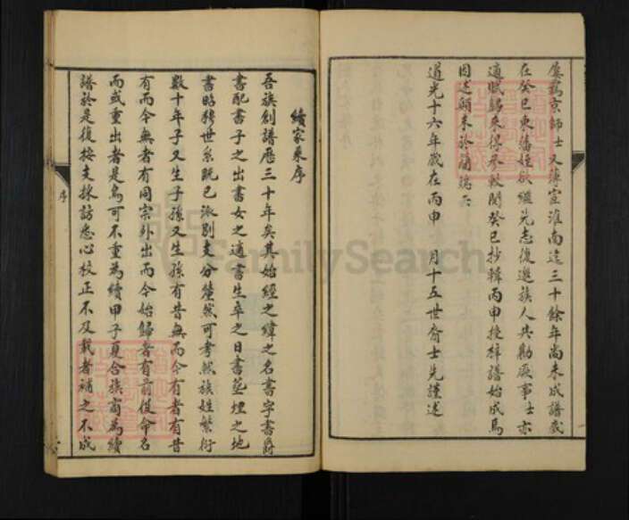 河南省安阳市林州市五龙镇刘氏族谱-林虑刘氏族谱世系.pdf电子版预览图4