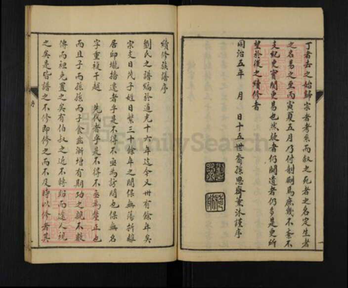 河南省安阳市林州市五龙镇刘氏族谱-林虑刘氏族谱世系.pdf电子版预览图5