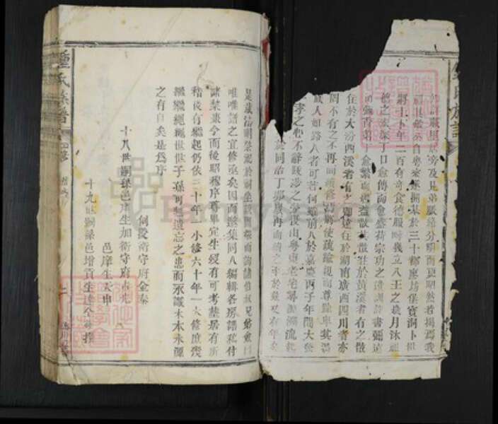 江西省吉安市遂川县西溪乡钟氏族谱-钟氏族谱.pdf电子版预览图2