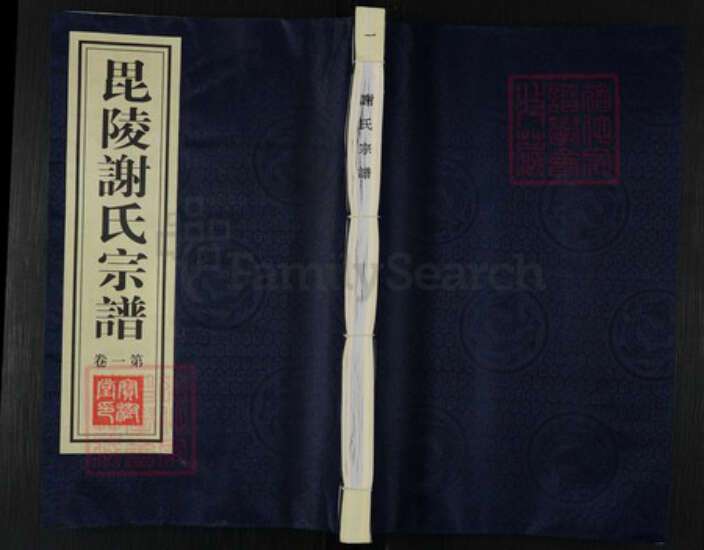 江苏省常州市新北区罗溪镇谢氏宝树堂族谱-毘陵谢氏宗谱.pdf电子版缩略图