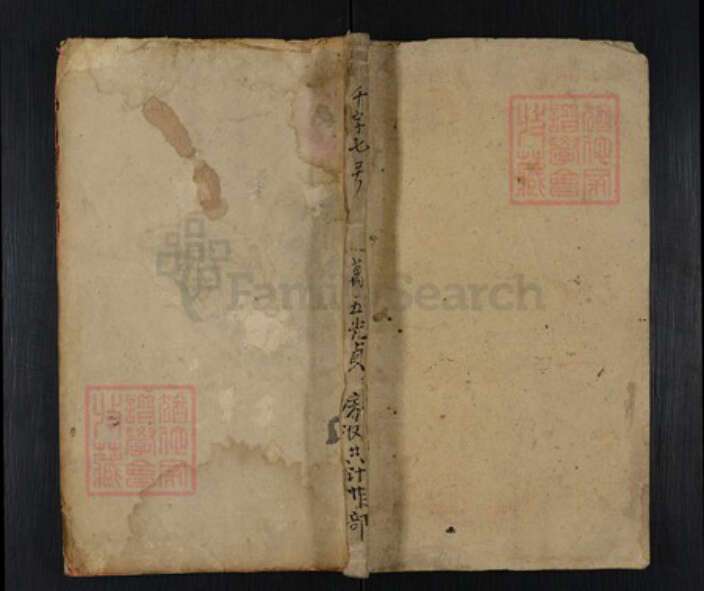 湖南省邵阳市隆回县罗洪镇胡氏族谱-胡氏十修族谱.pdf电子版缩略图