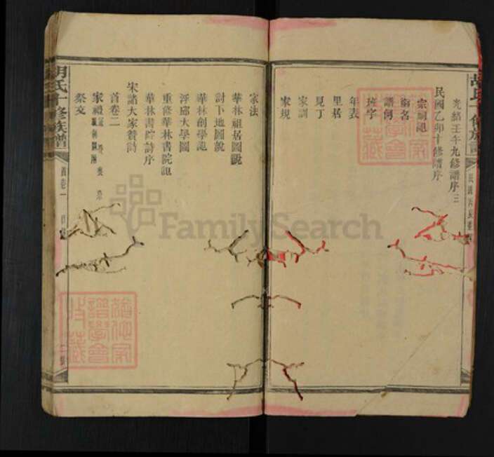 湖南省邵阳市隆回县罗洪镇胡氏族谱-胡氏十修族谱.pdf电子版预览图3