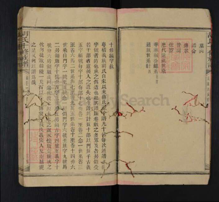 湖南省邵阳市隆回县罗洪镇胡氏族谱-胡氏十修族谱.pdf电子版预览图4