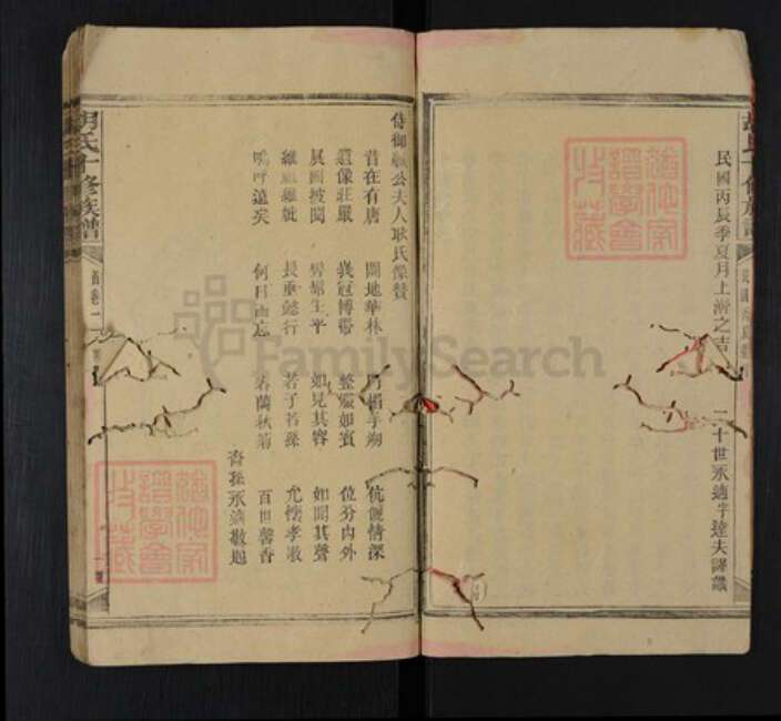 湖南省邵阳市隆回县罗洪镇胡氏族谱-胡氏十修族谱.pdf电子版预览图5