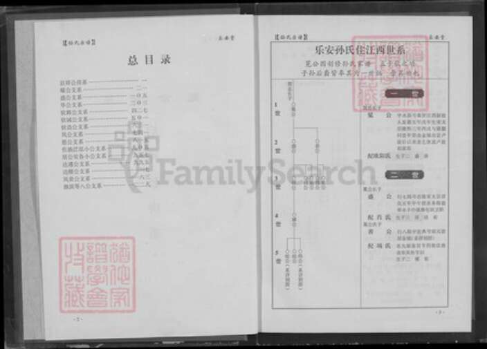 湖北省荆门市钟祥市孙氏乐安堂族谱-孙氏宗谱.pdf电子版预览图4