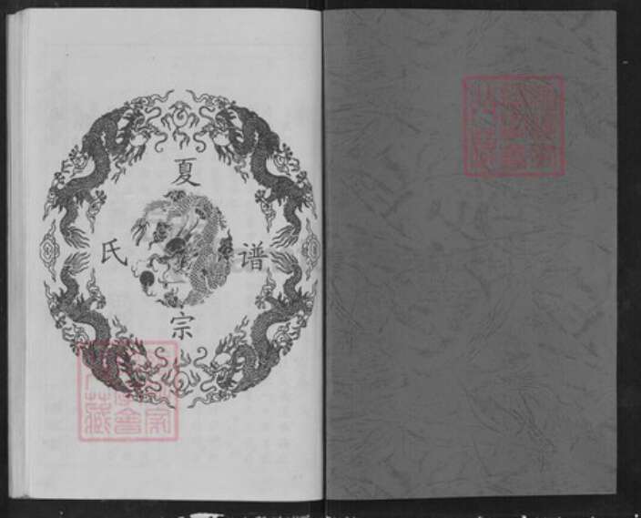 江西省九江市武宁县夏氏秘书堂族谱-夏氏宗谱.pdf电子版预览图1