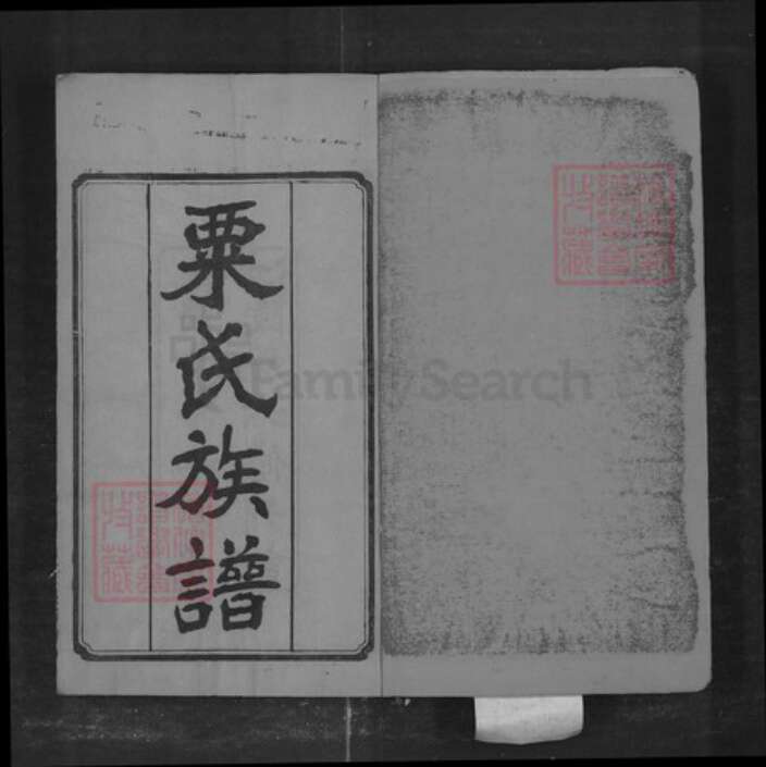 湖南省长沙市栗氏族谱-栗氏六修族谱[32卷].pdf电子版预览图2