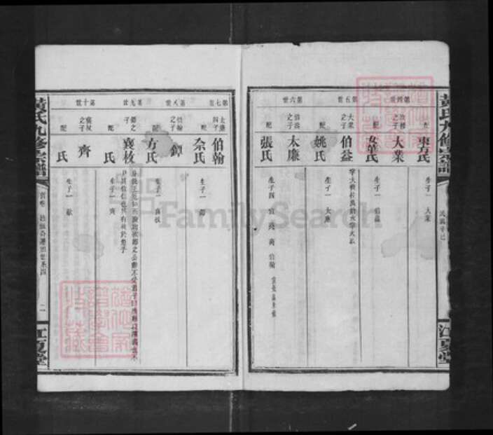 福建省漳州市平和县九峰黄氏族谱-黄氏宗谱[43卷].pdf电子版预览图2