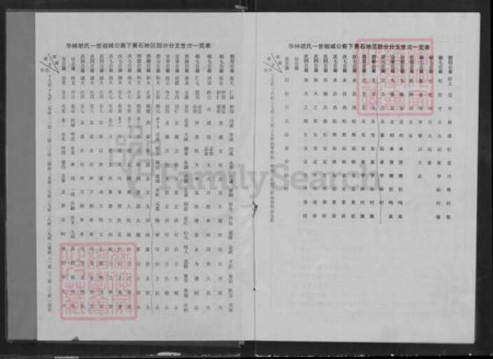 湖北省黄石市胡氏华林堂族谱-中华胡姓通谱.湖北黄石分谱.pdf电子版预览图2