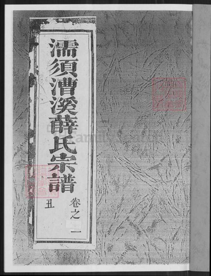 安徽省芜湖市无为县薛氏三凤堂族谱-濡须漕溪薛氏宗谱.pdf电子版预览图1