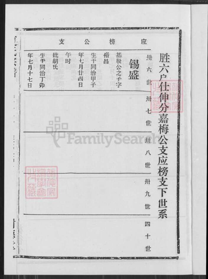 湖北省黄冈市武穴市梅川镇夏氏树德堂族谱-夏氏宗谱.pdf电子版预览图2