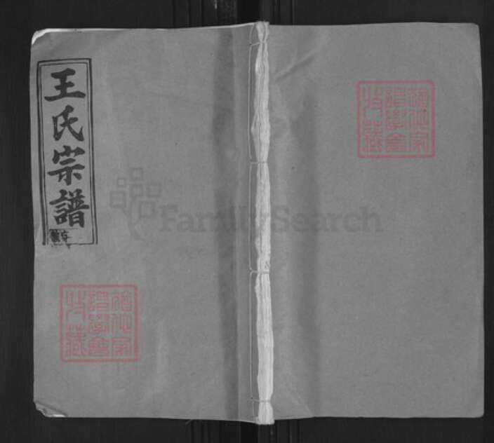 湖北省黄冈市武穴市王氏三槐堂族谱-王氏宗谱.pdf电子版缩略图