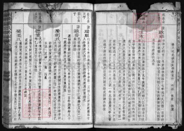 浙江省衢州江山市杨氏永思堂族谱-杨氏外祠家谱 [14卷,首末各1卷].pdf电子版预览图2