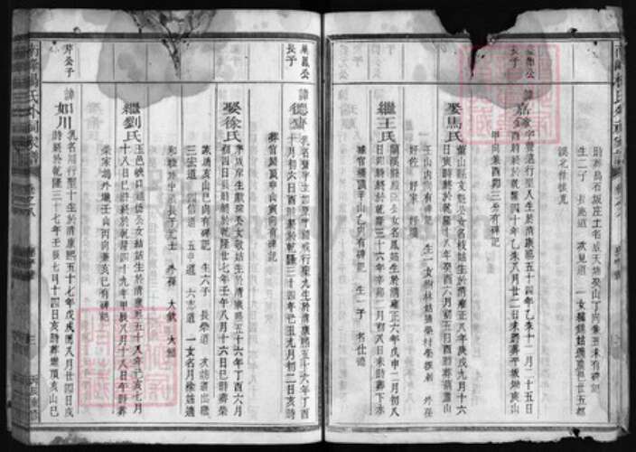 浙江省衢州江山市杨氏永思堂族谱-杨氏外祠家谱 [14卷,首末各1卷].pdf电子版预览图3