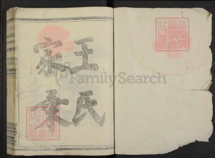 浙江省金华市王氏族谱-王氏宗谱.pdf电子版预览图1