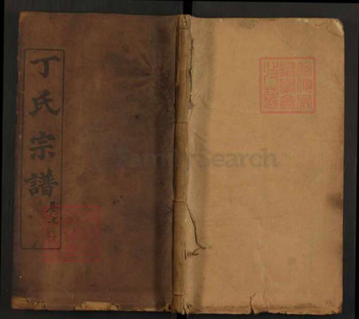 湖北省黄冈市罗田县平湖乡湖北省丁氏敦睦堂族谱-丁氏宗谱.pdf电子版缩略图