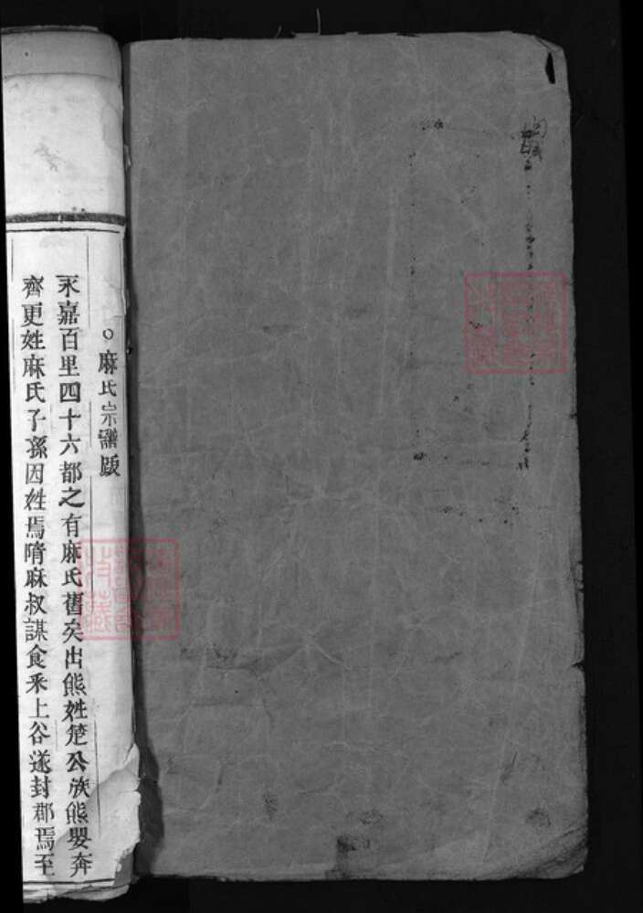 浙江省温州市永嘉县麻氏族谱-麻氏宗谱 [5卷].pdf电子版预览图1