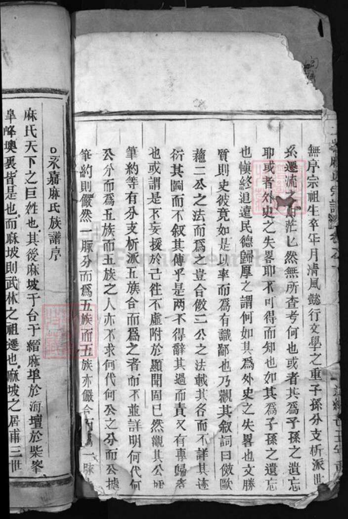 浙江省温州市永嘉县麻氏族谱-麻氏宗谱 [5卷].pdf电子版预览图3