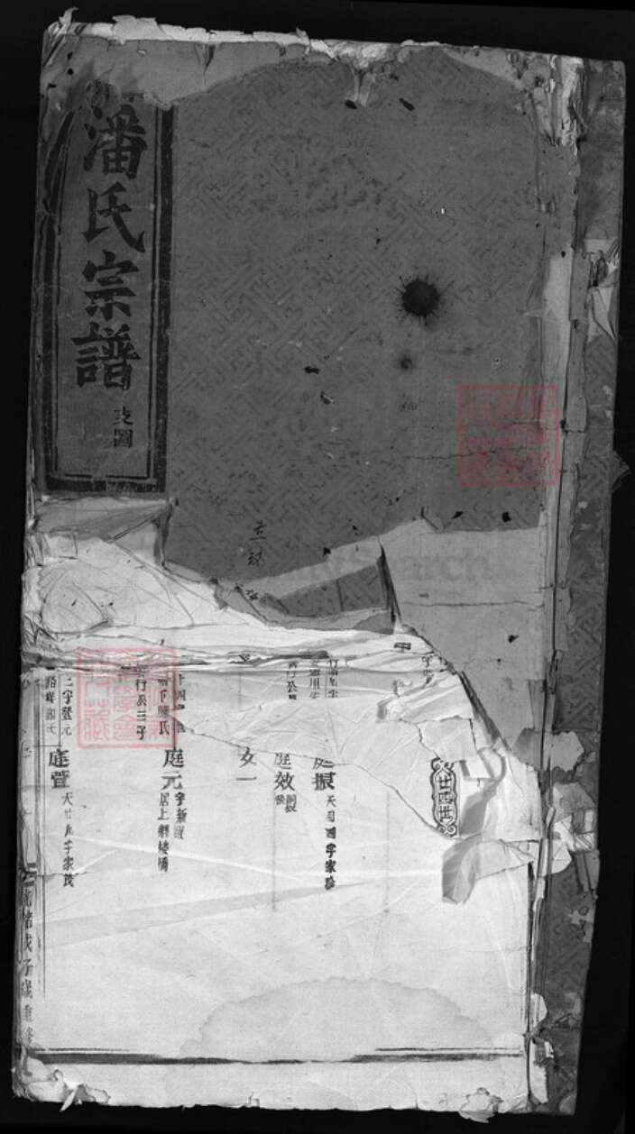 浙江省温州市永嘉县潘氏族谱-泰川潘氏宗谱.pdf电子版缩略图