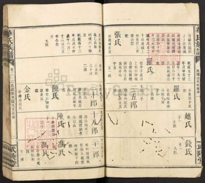 福建省龙岩市连城县姑田镇华氏武陵堂族谱-华氏族谱.pdf电子版预览图2