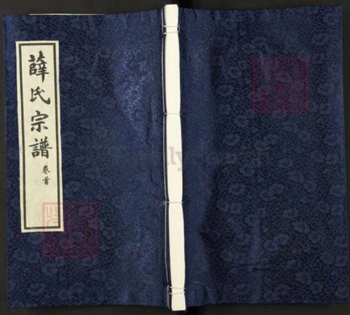 安徽省六安市霍邱县安徽省六安市霍邱县薛氏族谱-薛氏宗谱.pdf电子版缩略图