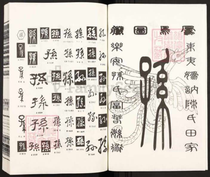 山东省潍坊市青州市孙氏心一堂族谱-中华乐安孙氏总谱.pdf电子版预览图2