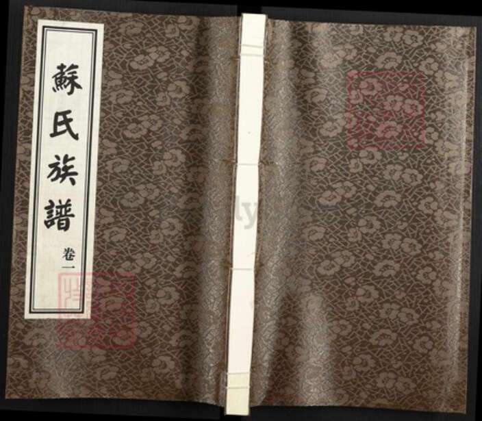 山东省德州市武城县苏氏族谱-苏氏族谱.pdf电子版缩略图