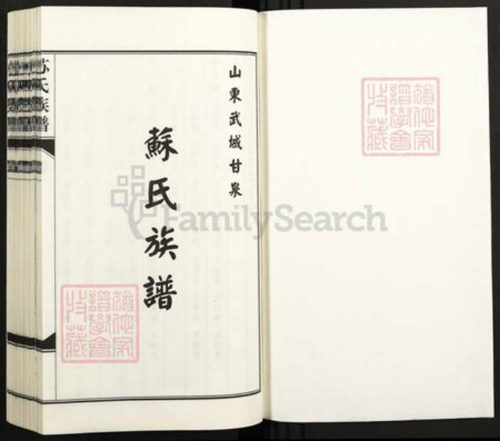 山东省德州市武城县苏氏族谱-苏氏族谱.pdf电子版预览图1