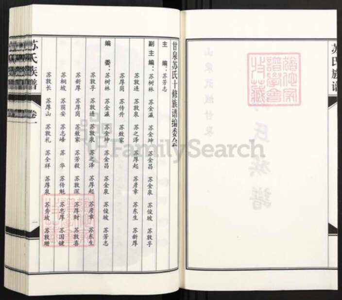 山东省德州市武城县苏氏族谱-苏氏族谱.pdf电子版预览图2