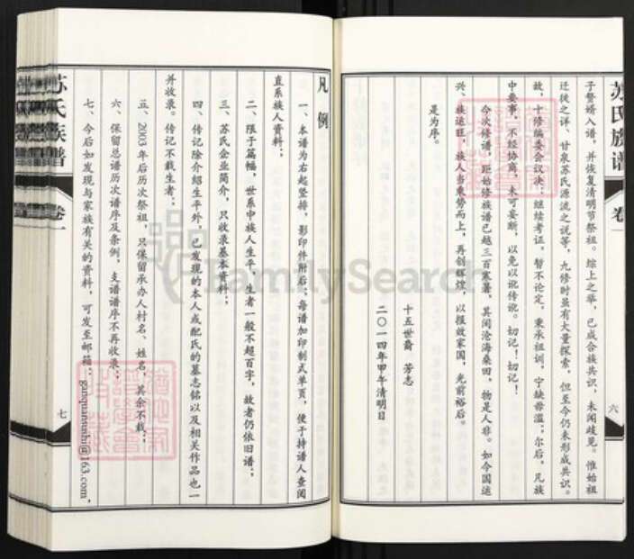 山东省德州市武城县苏氏族谱-苏氏族谱.pdf电子版预览图5