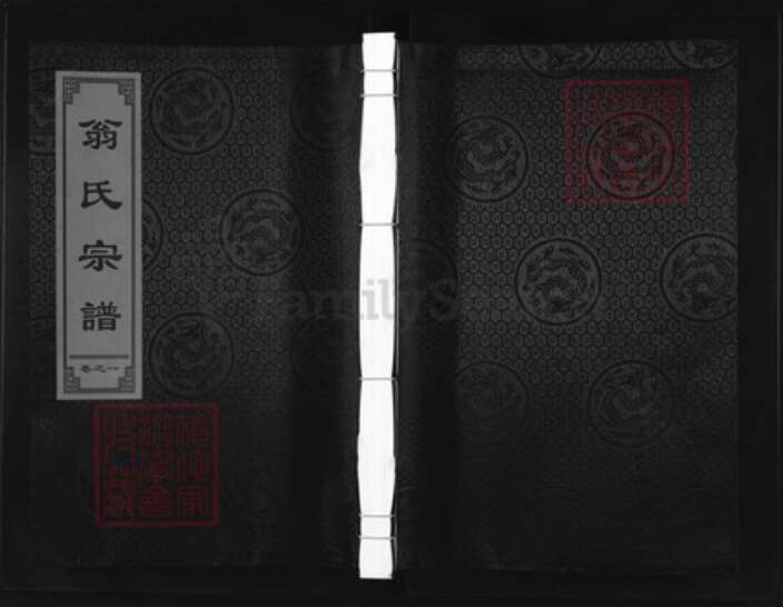 浙江省金华市兰溪市翁氏亦政堂族谱-翁氏宗谱.pdf电子版缩略图