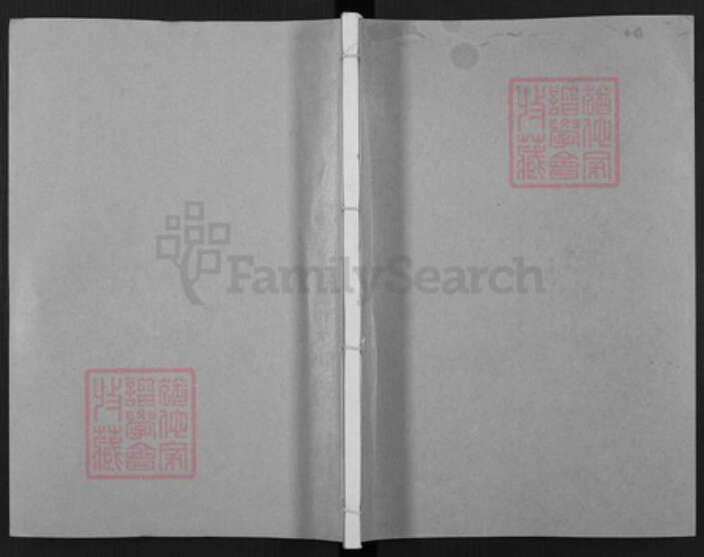 山东省枣庄市薛城区山东省枣庄市胡氏安定堂族谱-兰陵胡氏族谱.pdf电子版缩略图