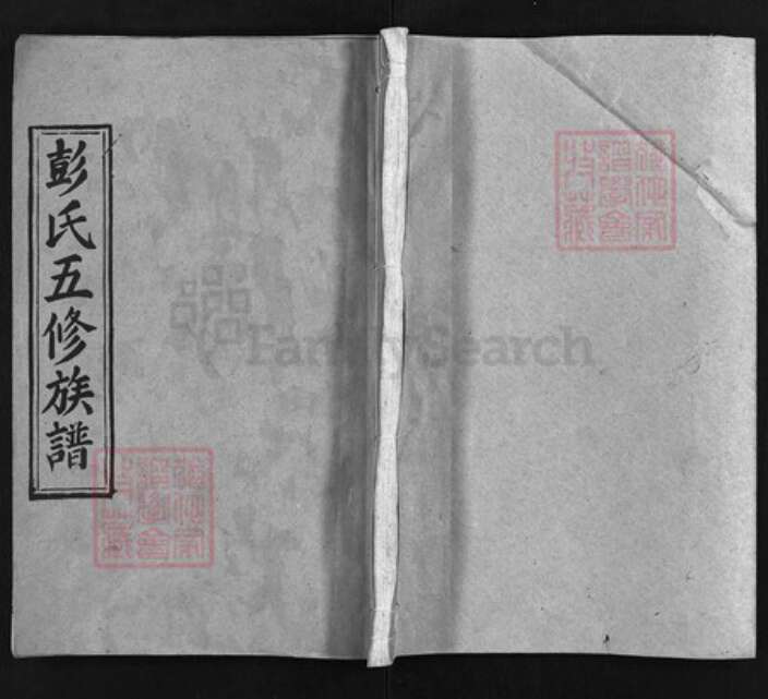 湖南省邵阳市新宁县彭氏新泽堂族谱-青茅冈彭氏五修族谱.pdf电子版缩略图