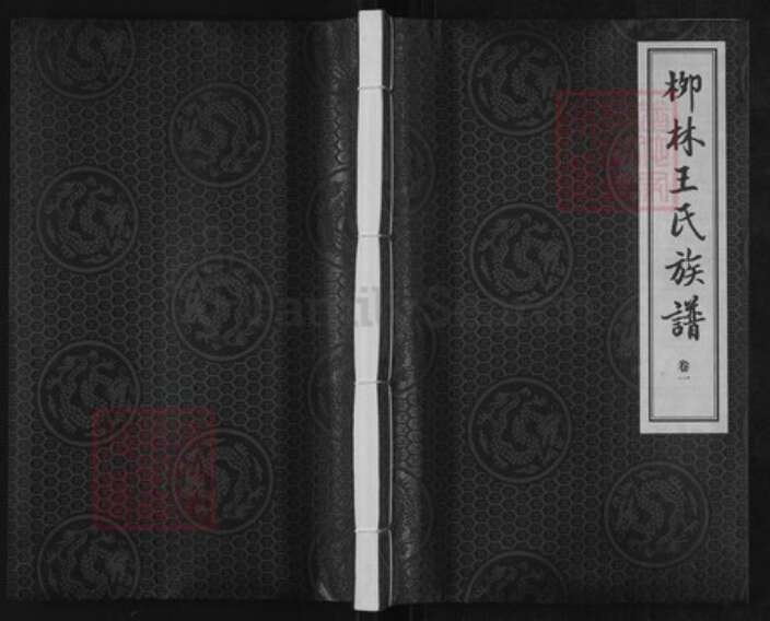 山东省潍坊市诸城市皇华镇王氏益友堂族谱-柳林王氏族谱.pdf电子版缩略图