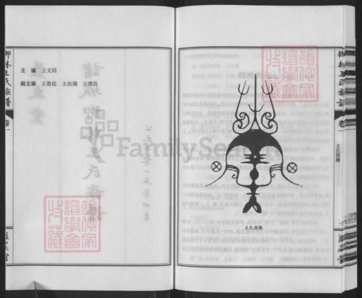 山东省潍坊市诸城市皇华镇王氏益友堂族谱-柳林王氏族谱.pdf电子版预览图2