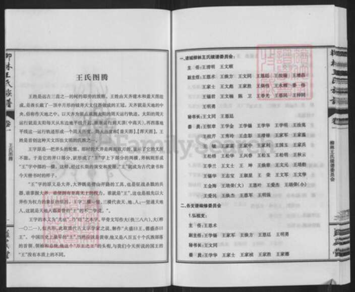 山东省潍坊市诸城市皇华镇王氏益友堂族谱-柳林王氏族谱.pdf电子版预览图3
