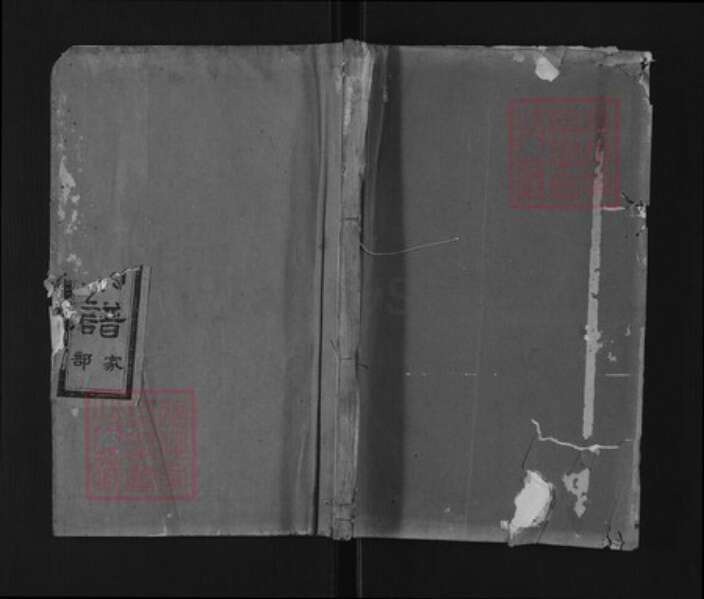 浙江省绍兴新昌县王氏环山堂族谱-南屏王氏宗谱.pdf电子版缩略图