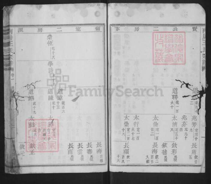 浙江省绍兴新昌县王氏环山堂族谱-南屏王氏宗谱.pdf电子版预览图2